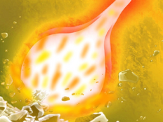 Golden Crimson Kamehameha