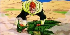 Android 16 vs cell