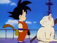 KorinTowerGoku
