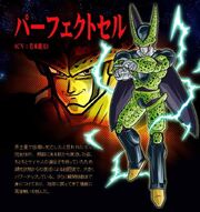 Dbz-budokai-tenkaichi3-superperfect.jpg