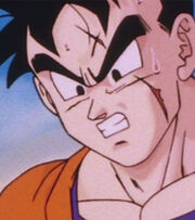 Future Gohan