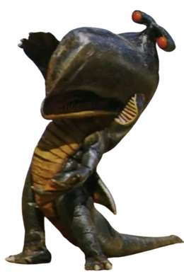 Boer (Flamingo Fight) | Ultra-Fan Wiki | Fandom