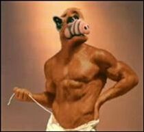 Strong Alf