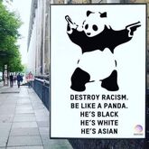 PandaRacism