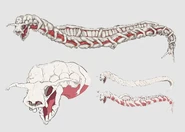 Concept art for the Leviathan.