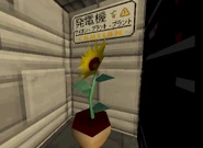 The sunflower inside the door.