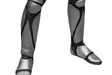 真・仮面ライダー 序章 | 石ノ森章太郎 Wiki | Fandom