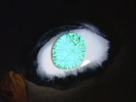 Eye Form
