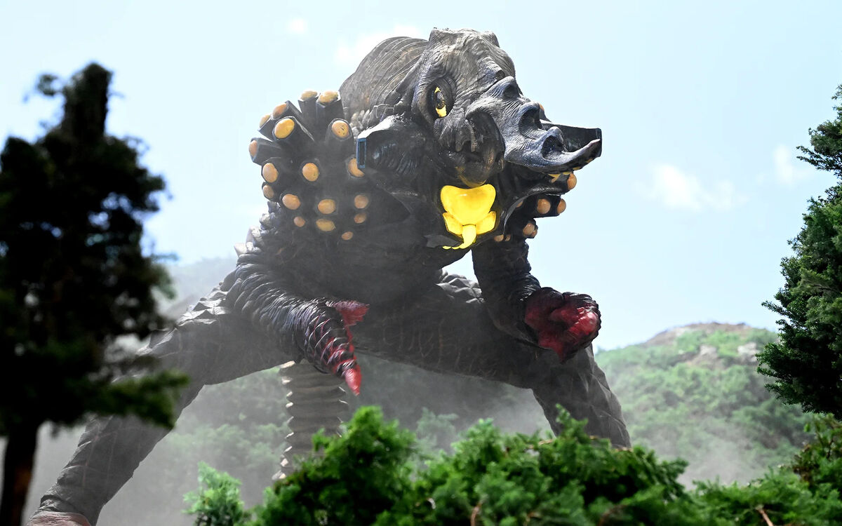 AA級呪物】瑞獣 青蛙神（チンワセン）