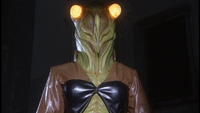 Cicada Woman