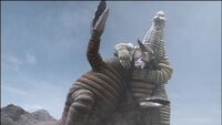 Red King vs. Sadora