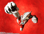 SHFA Ultraman (True Bone Sculpting Method) 9