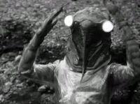 Cicada Human 1966