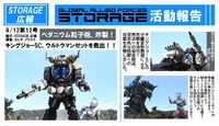 STORAGE Report 12