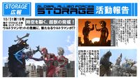 STORAGE Report 19