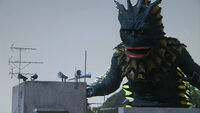 RagonGinga