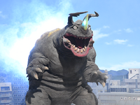 Neronga Z