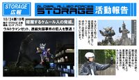 STORAGE Report 18