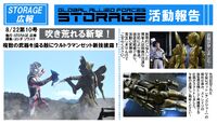 STORAGE Report 10