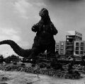 Godzilla in Mothra vs. Godzilla