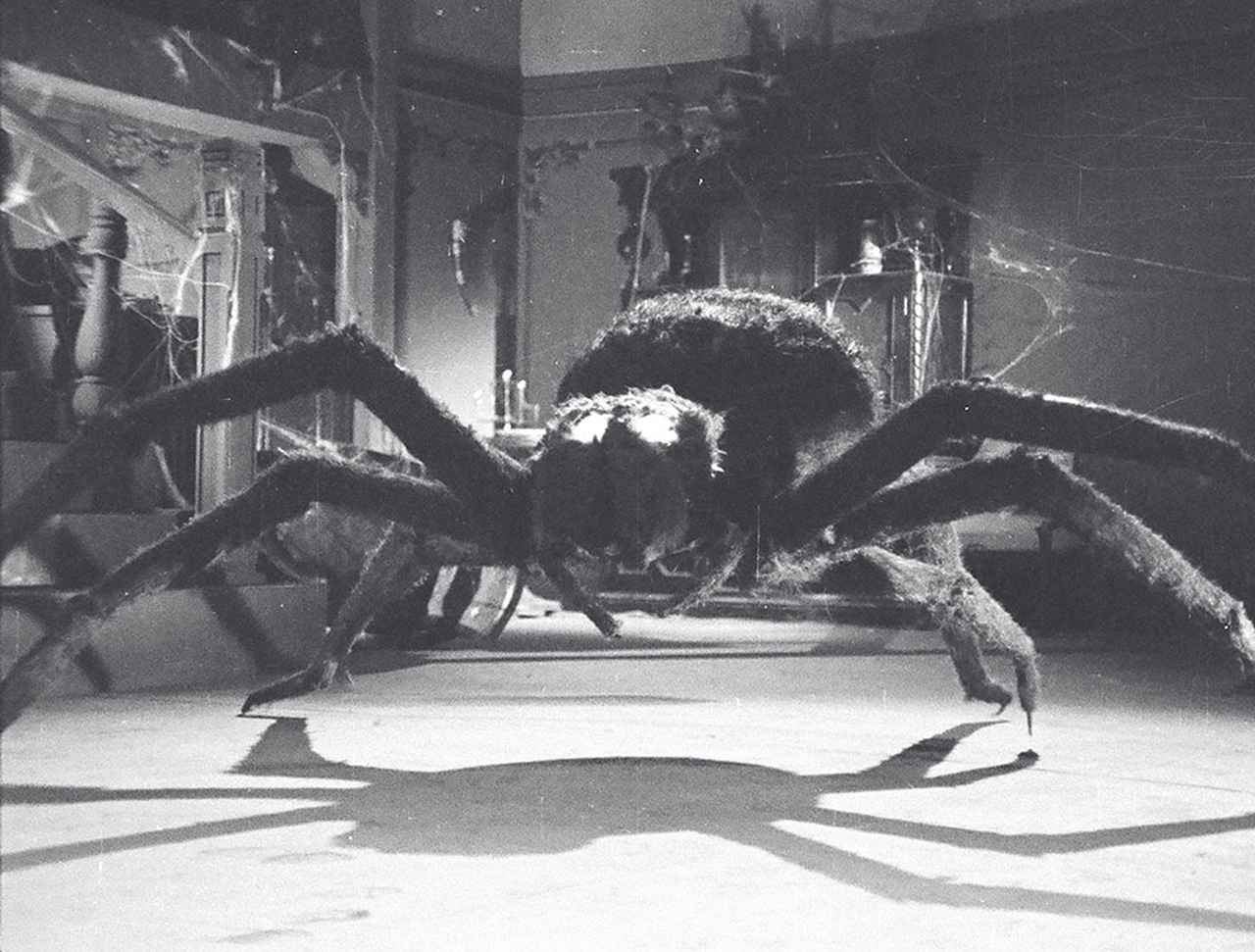 Tarantula | TsuburayaWiki | Fandom