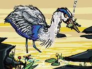 The heron kills the frog