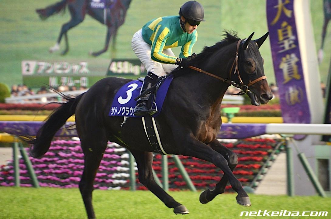 FORCE OF THE HORSE　サトノダイヤモンド　キングカメハメハ FORCE OF THE HORSE サトノダイヤモンド キングカメハメハ