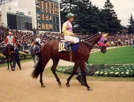 Luna Swallow | Umamusume Wiki | Fandom