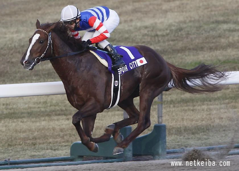 Espoir City Uma Musume Wiki Fandom