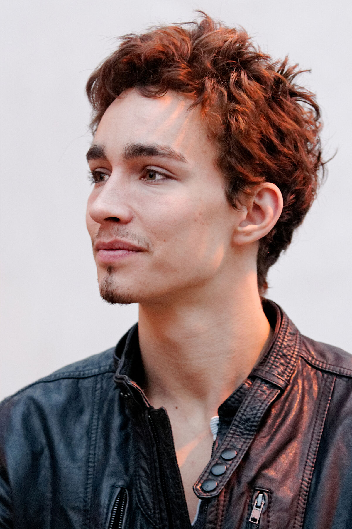 Robert Sheehan Umbrella Academy Wiki Fandom