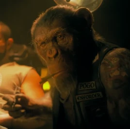 Pogo Sparrow Timeline