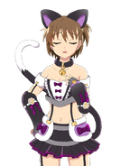 Miyuki cat (17)