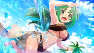 Summer Splash