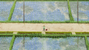 Sotsu ep8 lying down.png