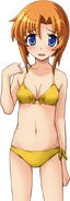 RenaPS3Swimsuit (23)