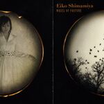 Unmei No Wa Eiko Shimamiya 07th Expansion Wiki Fandom Eiko shimiya unmei no wa 輪運命の輪 if you see any grammer or spelling errors let me no. unmei no wa eiko shimamiya 07th