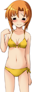 RenaPS3Swimsuit (19)