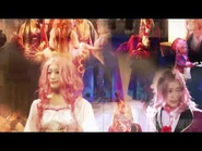 Stage play Last Season op