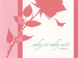 Why, or why not (song)