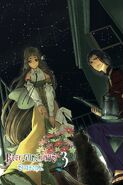 Bonus illustration