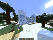 A outside view of the Ice Temple. Notice Molster's photobomb.