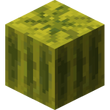 Melon block