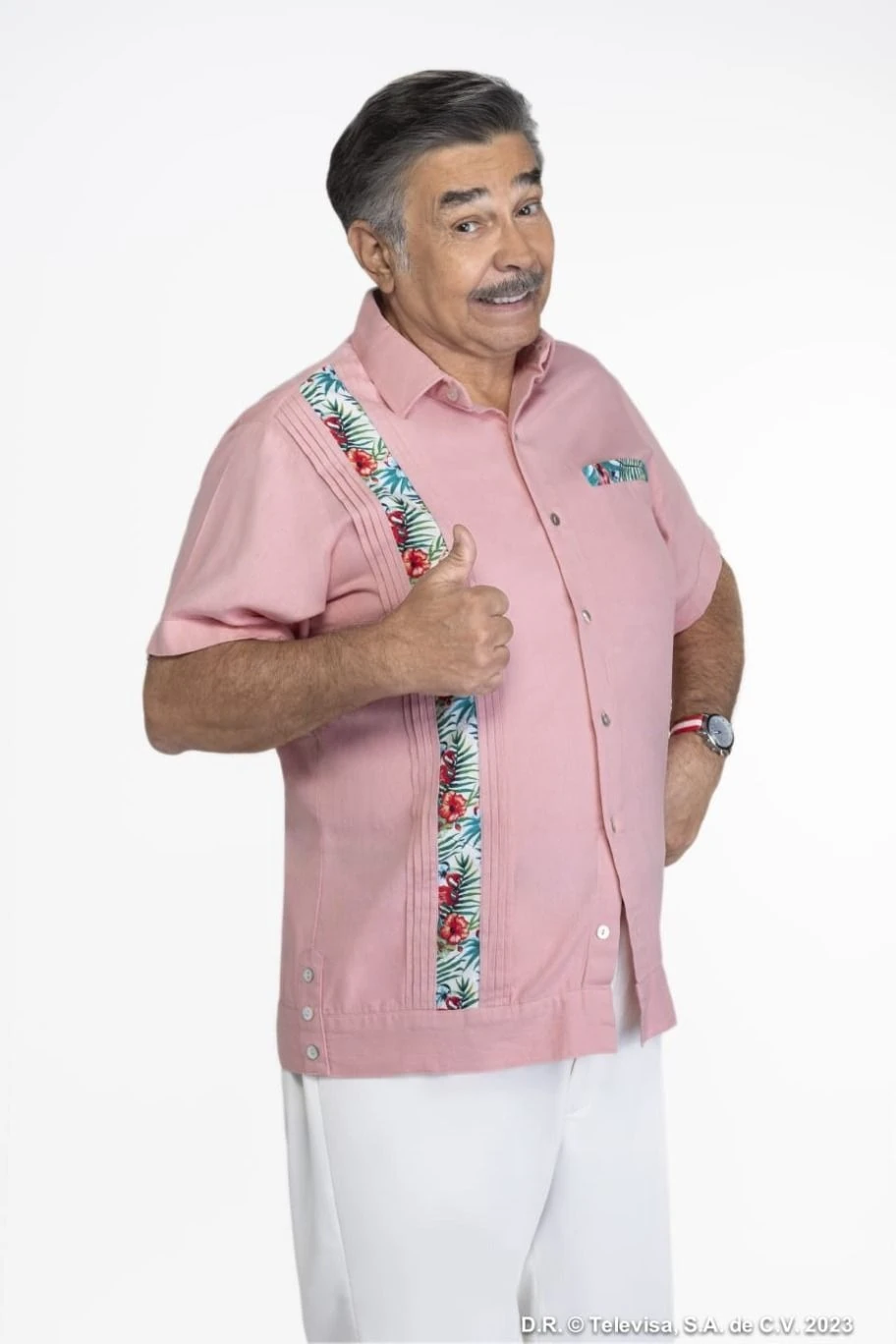 Encanto', la película de Disney inspirada en Colombia que habla sobre la  familia | Univision Famosos | Univision, image size:912x1368