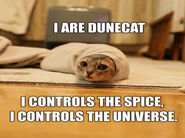 LOLcatdune