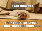 Dunecat