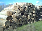 Wood logs