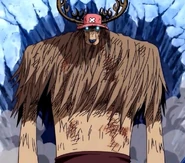 Chopper's Monster Point form