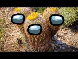 CACTUS_(Amogus)