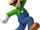 New Luigi
