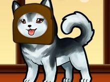 As you can see, Canned Bread makes good dog attire, but terrible toast.